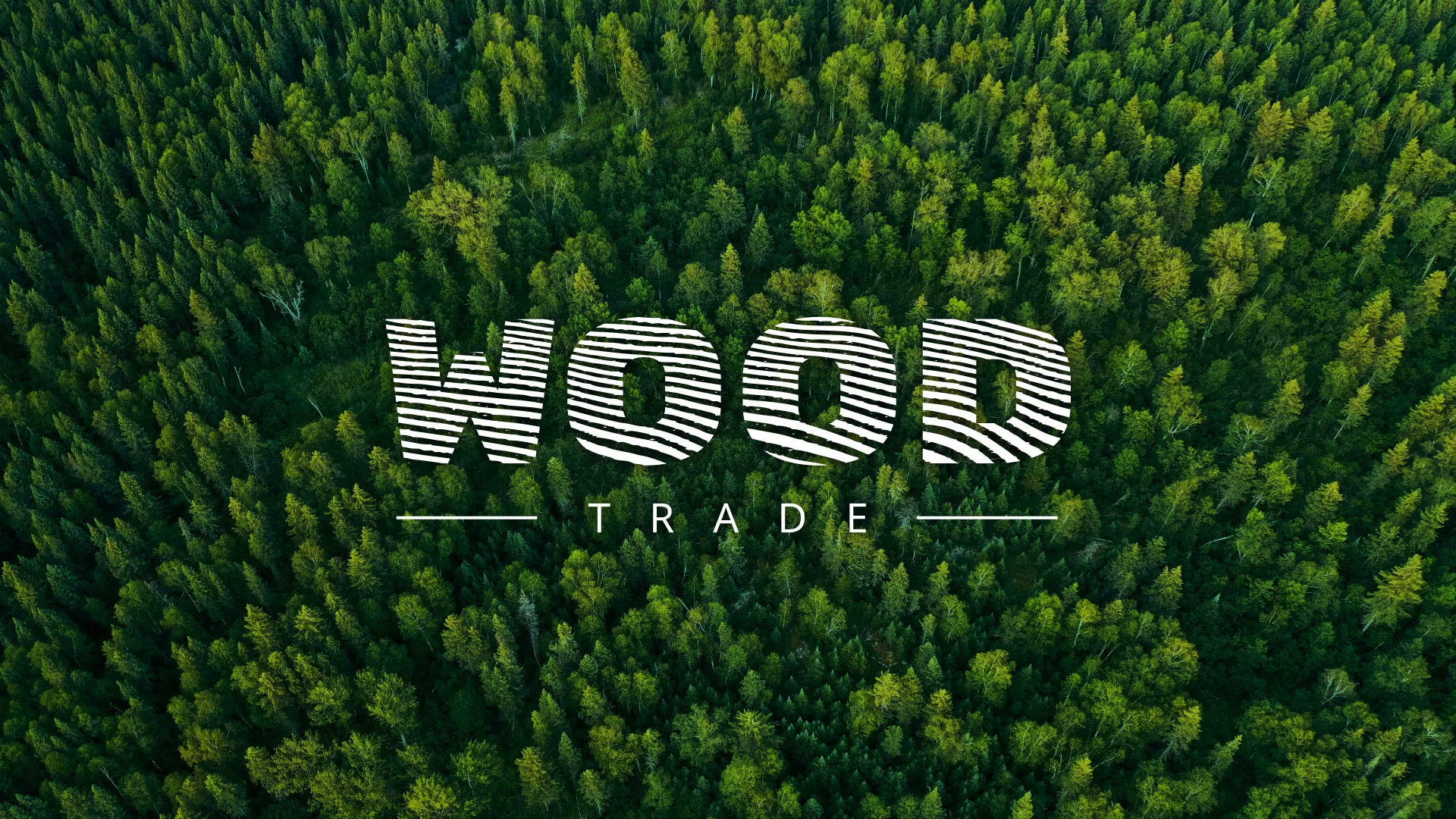 Разработка интернет-магазина компании «Wood Trade» в Камышине